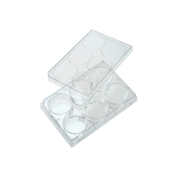 Celltreat 6 Well Tissue Culture Plate with Lid, Individual, Sterile 229106 - main
